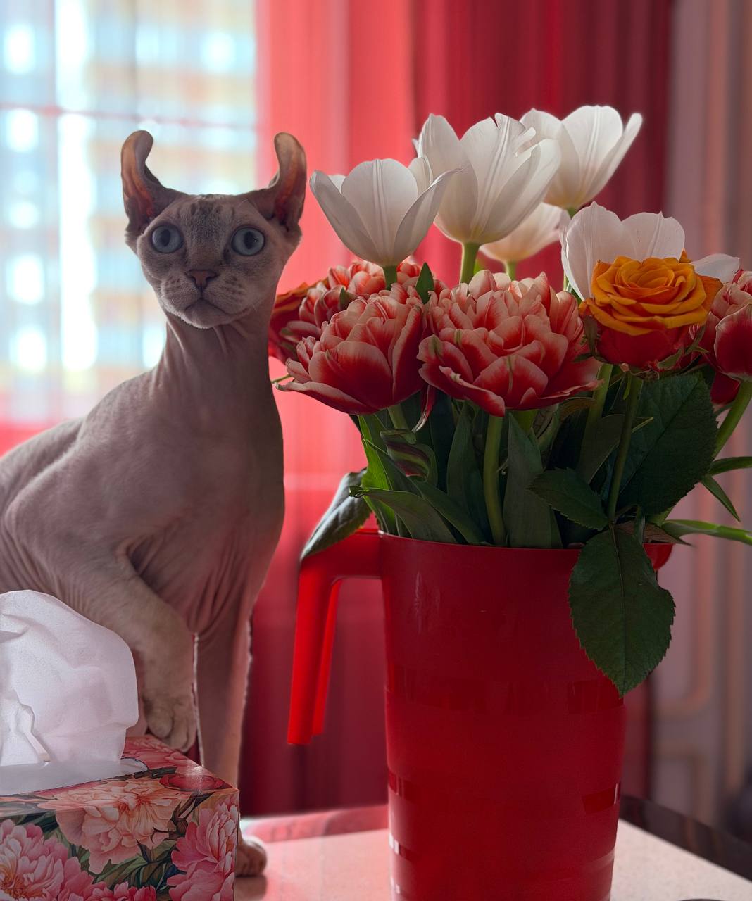 Доброе утро, Кубань!. Краснодар +18 °С Доброе утро, Кубань!. Краснодар +18 °С