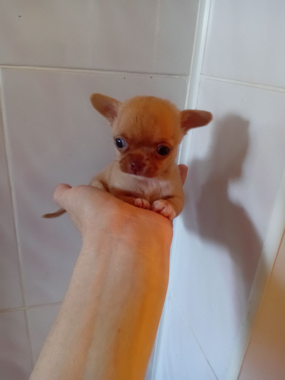 Доброе утро, Кубань!. Краснодар +18 °С Доброе утро, Кубань!. Краснодар +18 °С