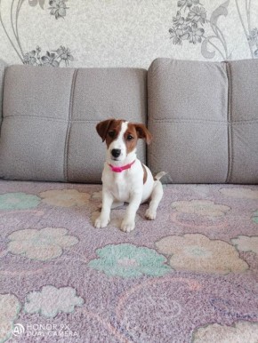 ������ ����, ������!. ��������� +18 ��