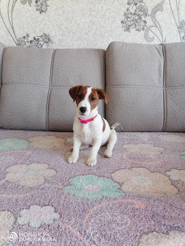 Доброе утро, Кубань!. Краснодар +18 °С