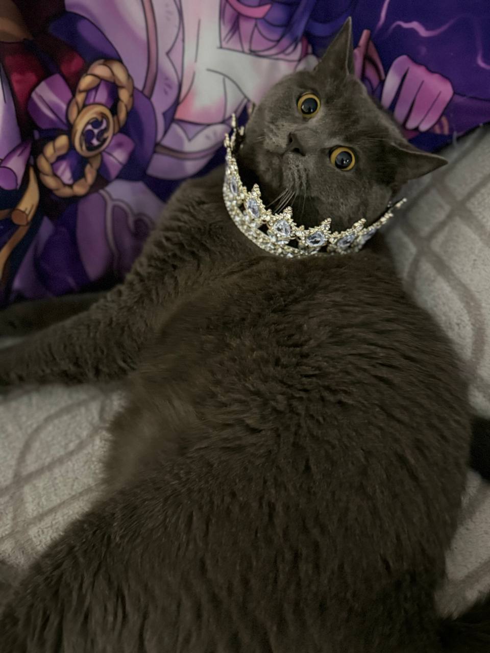 Доброе утро, Кубань!. Краснодар +15 °С Доброе утро, Кубань!. Краснодар +15 °С