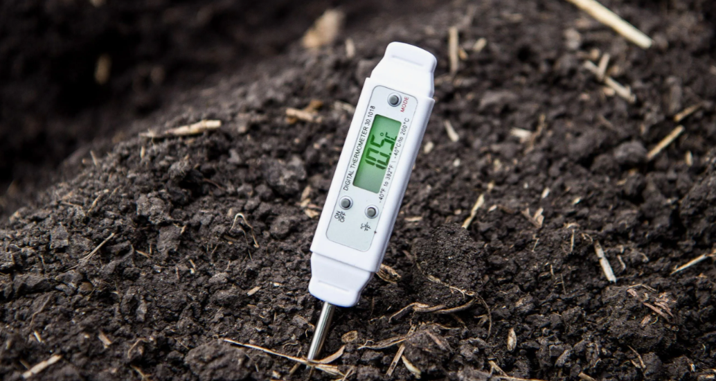 Как добиться дружных всходов лука в феврале: секреты температурного режима