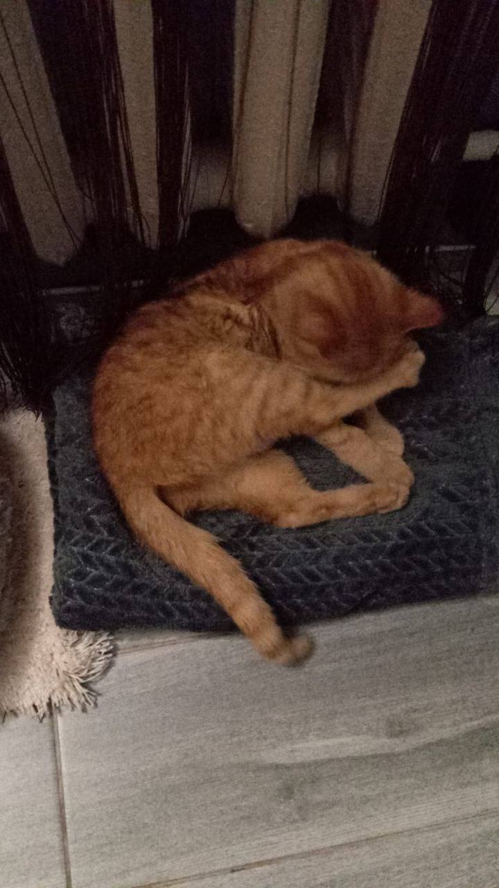 Доброе утро, Кубань!. Краснодар +15 °С