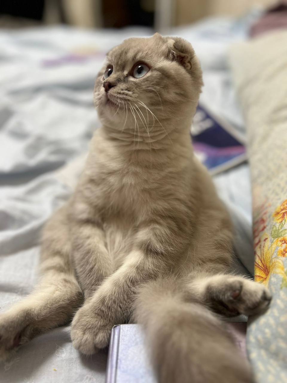 Доброе утро, Кубань!. Краснодар +15 °С Доброе утро, Кубань!. Краснодар +15 °С