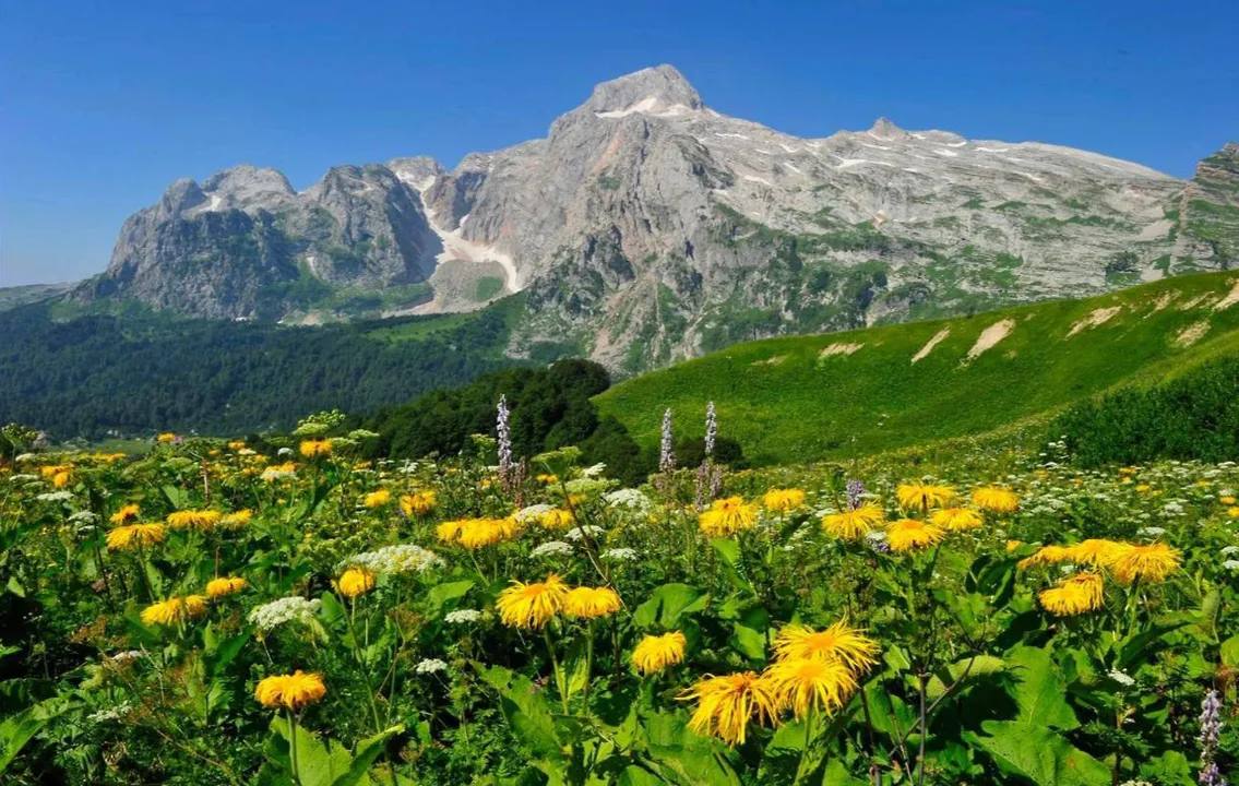 Сочинский национальный парк и Кавказский государственный природный заповедник вошли в десятку наиболее посещаемых особо охраняемых природных территорий федерального значения по итогам зимнего сезона