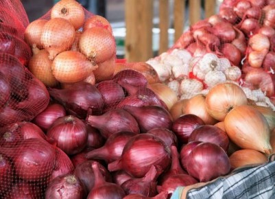 ����� ��������� ������ ���� ��� ������ �������