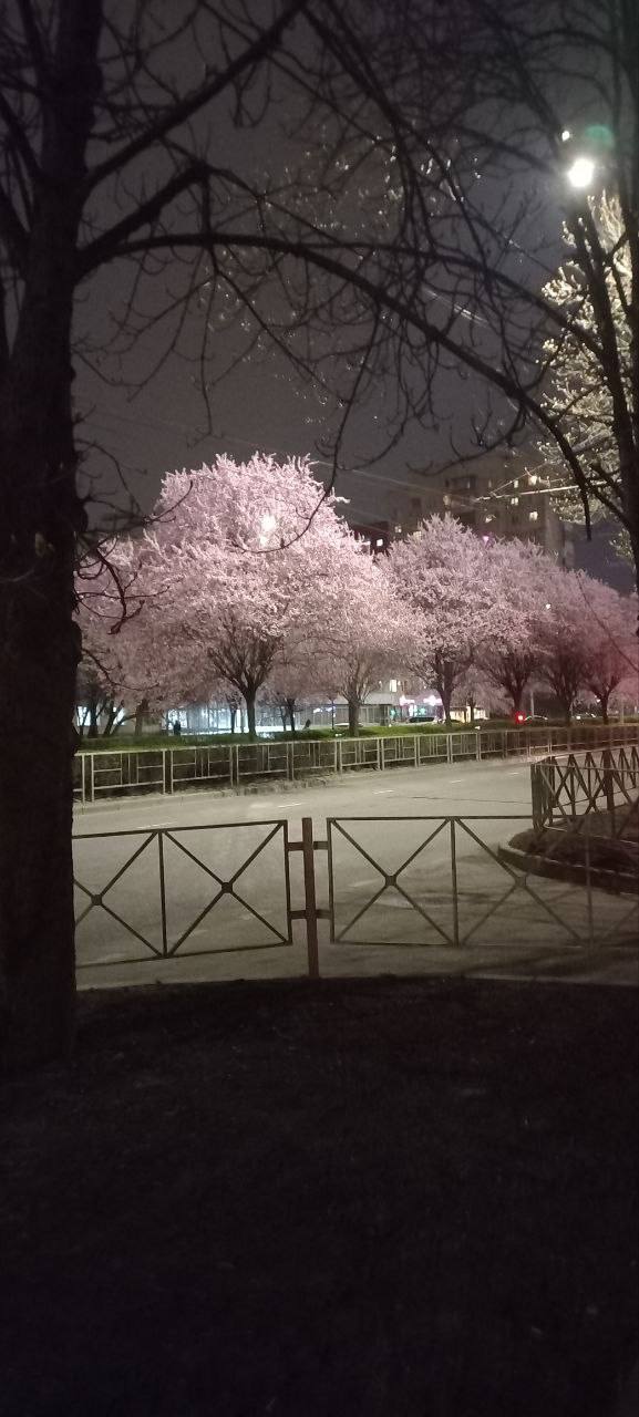 О погоде на 30 марта. В Краснодарском крае переменная облачность