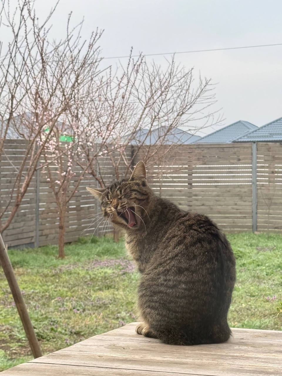 О погоде на 30 марта. В Краснодарском крае переменная облачность О погоде на 30 марта. В Краснодарском крае переменная облачность