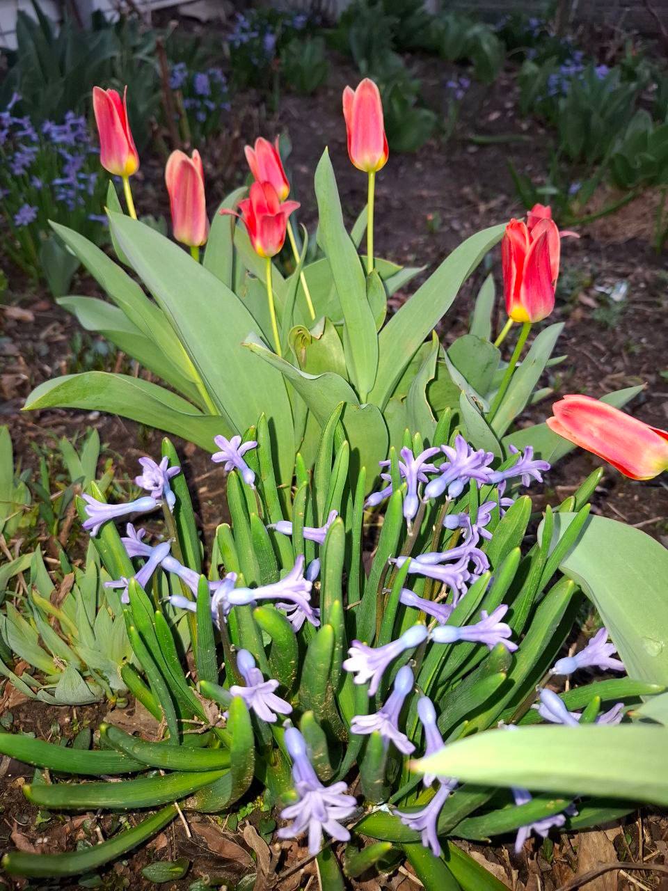 О погоде на 30 марта. В Краснодарском крае переменная облачность О погоде на 30 марта. В Краснодарском крае переменная облачность