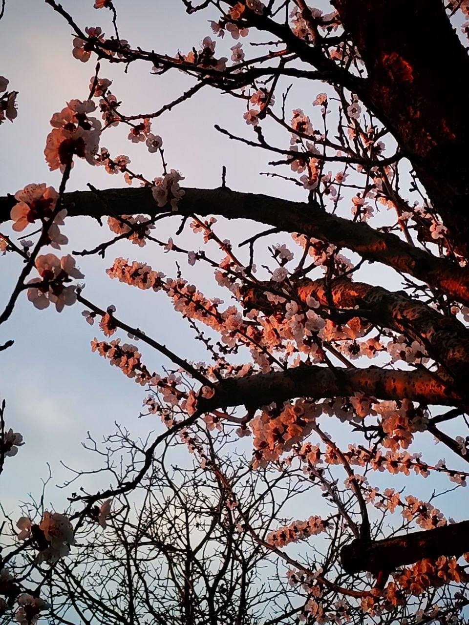 О погоде на 30 марта. В Краснодарском крае переменная облачность О погоде на 30 марта. В Краснодарском крае переменная облачность