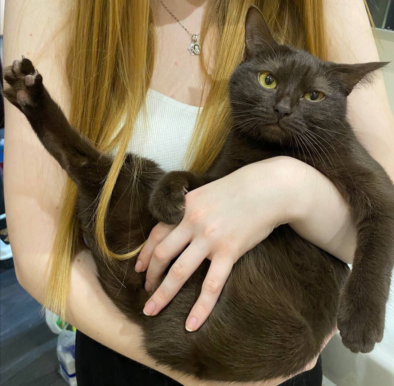 Доброе утро, Кубань!. Краснодар +13 °С Доброе утро, Кубань!. Краснодар +13 °С