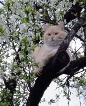 Доброе утро, Кубань!. Краснодар +13 °С