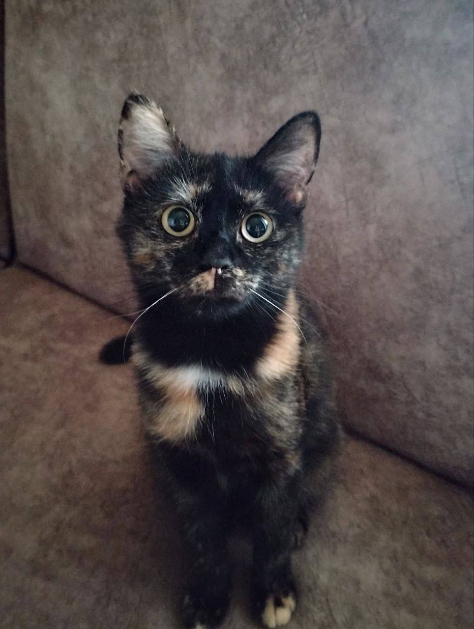 Доброе утро, Кубань!. Краснодар +16 °С Доброе утро, Кубань!. Краснодар +16 °С