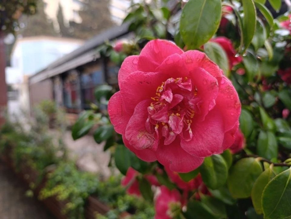 ������ ����, ������� ����!