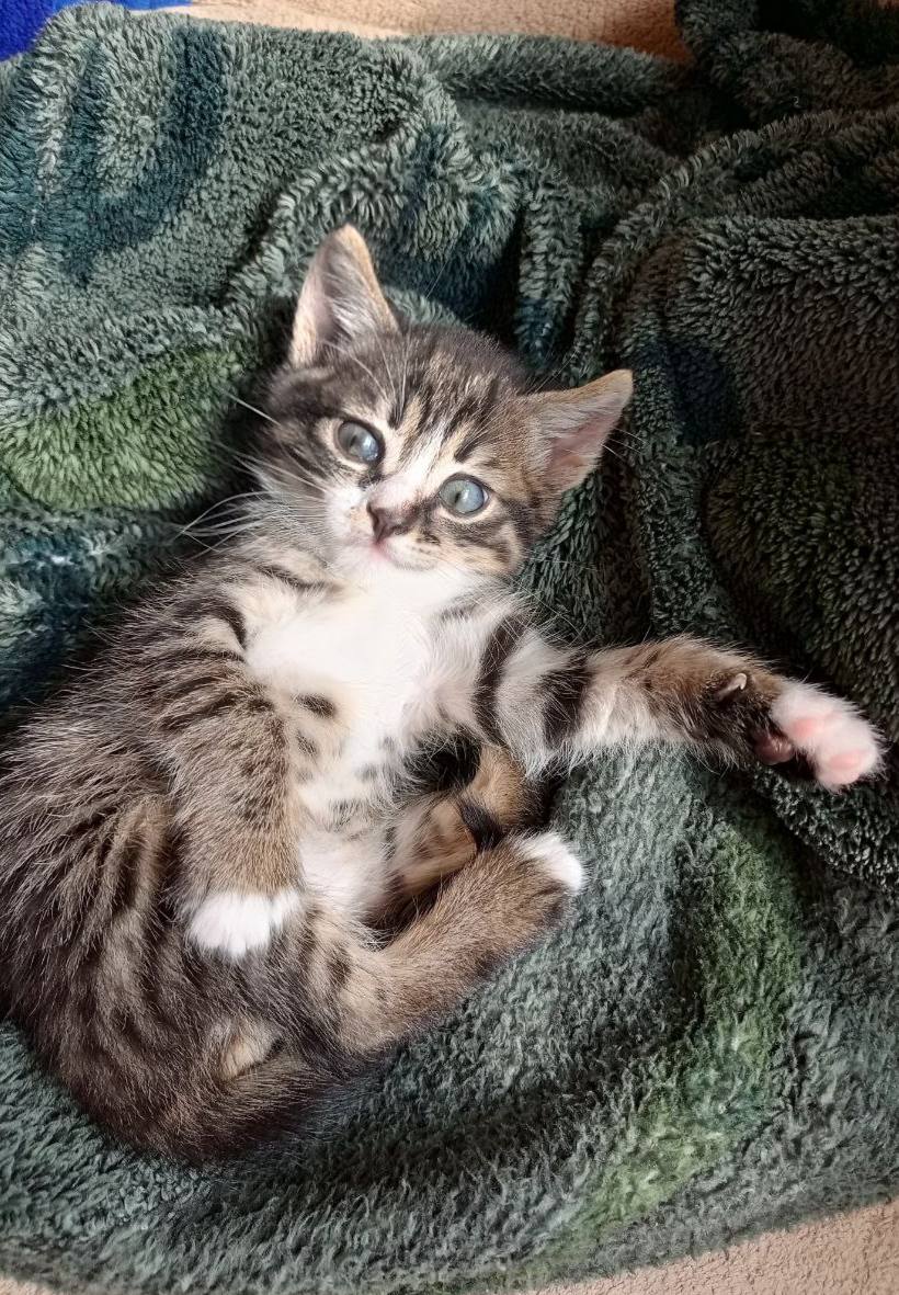 Доброе утро, Кубань!. Краснодар +16 °С Доброе утро, Кубань!. Краснодар +16 °С