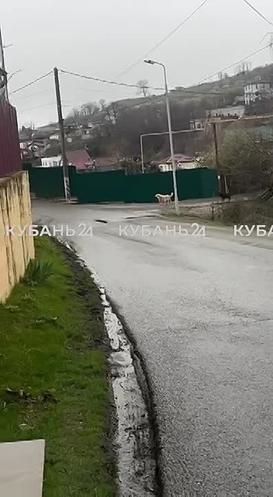 � ��� �� ������������ 1 ������: