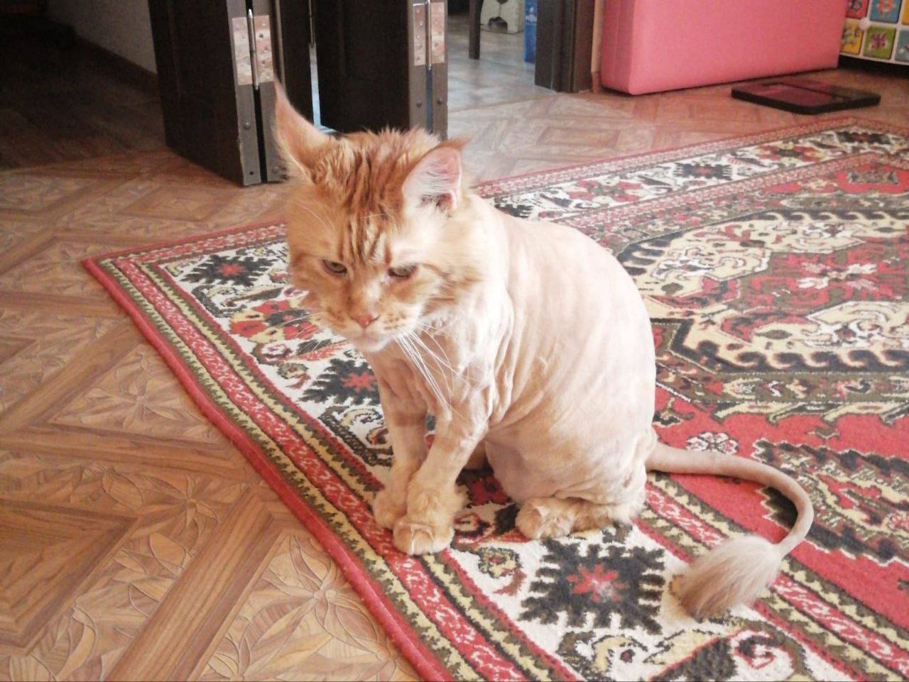 Доброе утро, Кубань!. Краснодар +16 °С Доброе утро, Кубань!. Краснодар +16 °С