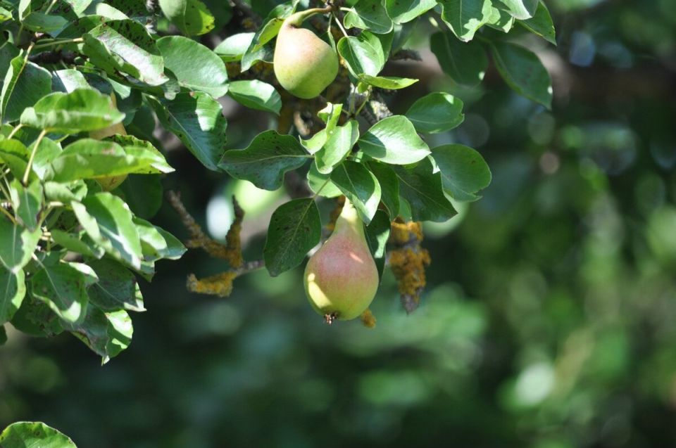 ��� ������� ������ ����� ���� ��� ������� ������ ������