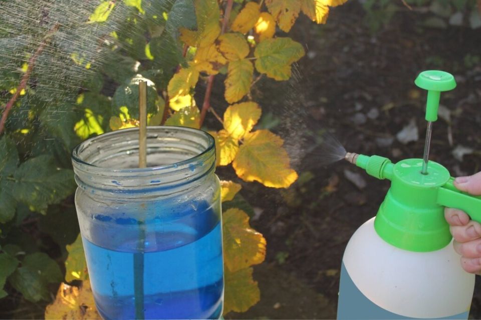 ������� ������������: ������� ������ ���� �� ��������