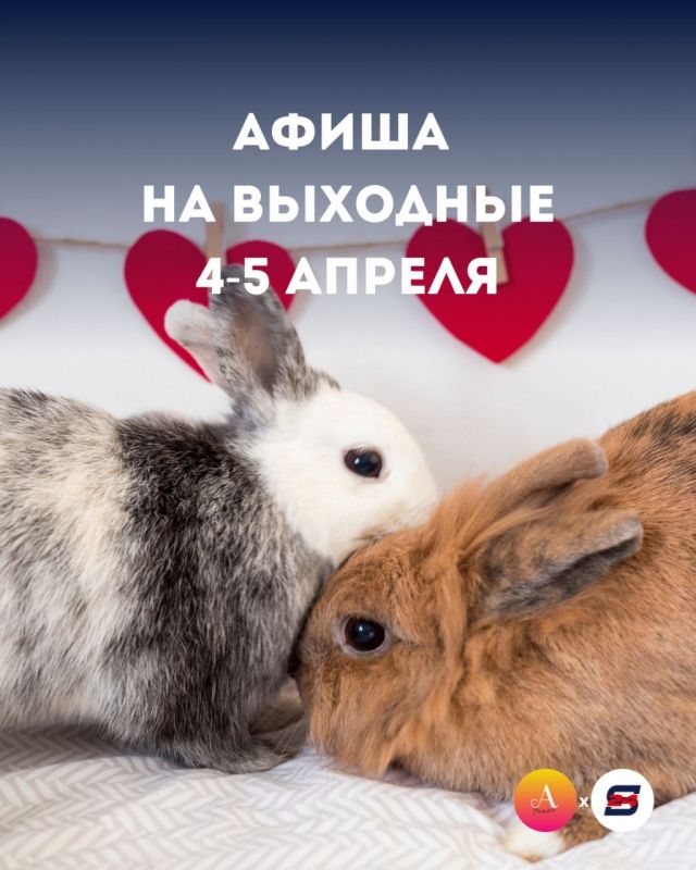 ��� ��������� ����� �� �������� 4-5 ������?