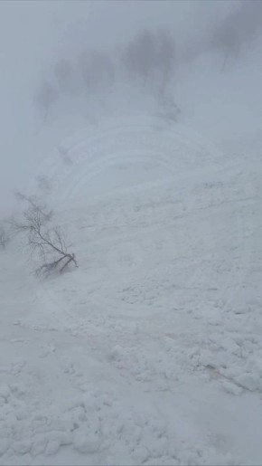 ���������� �������� �������������� ������ � ����� ����