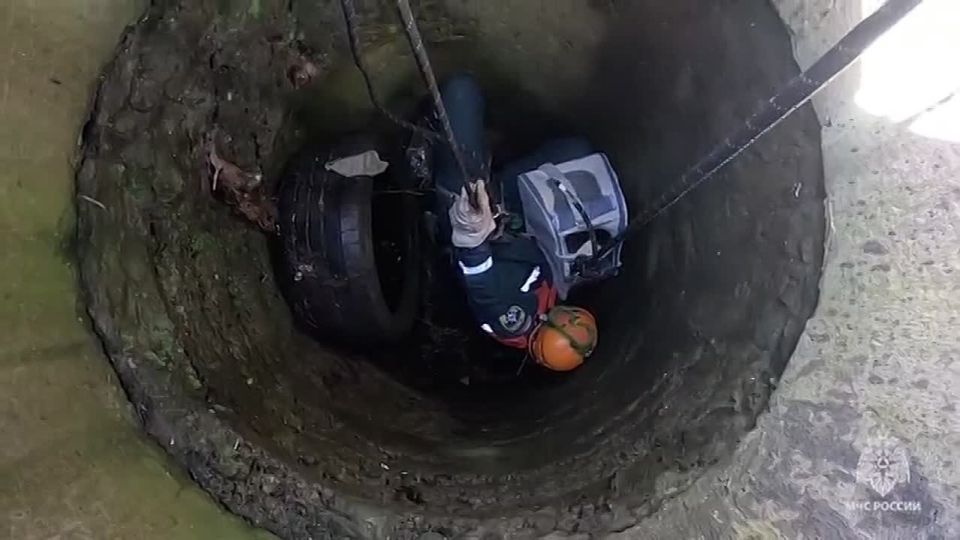 ���� �� ������ ����� ���� � ������������ ������� � �� ������ ������ ��������� ���������