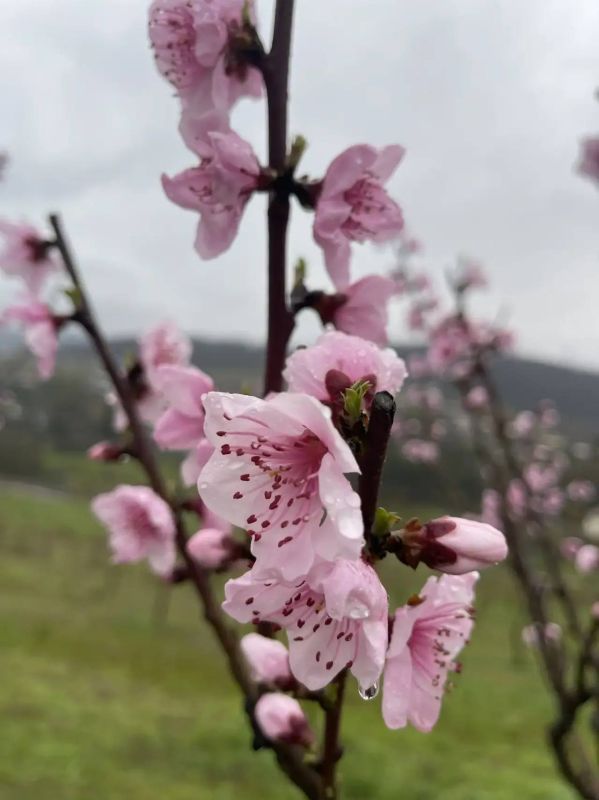 ������ ������: � ���� ������� ���������� ����!