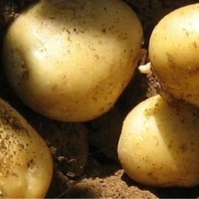 ��������� ������: ��������� ���� ��� ������ ����� � ������