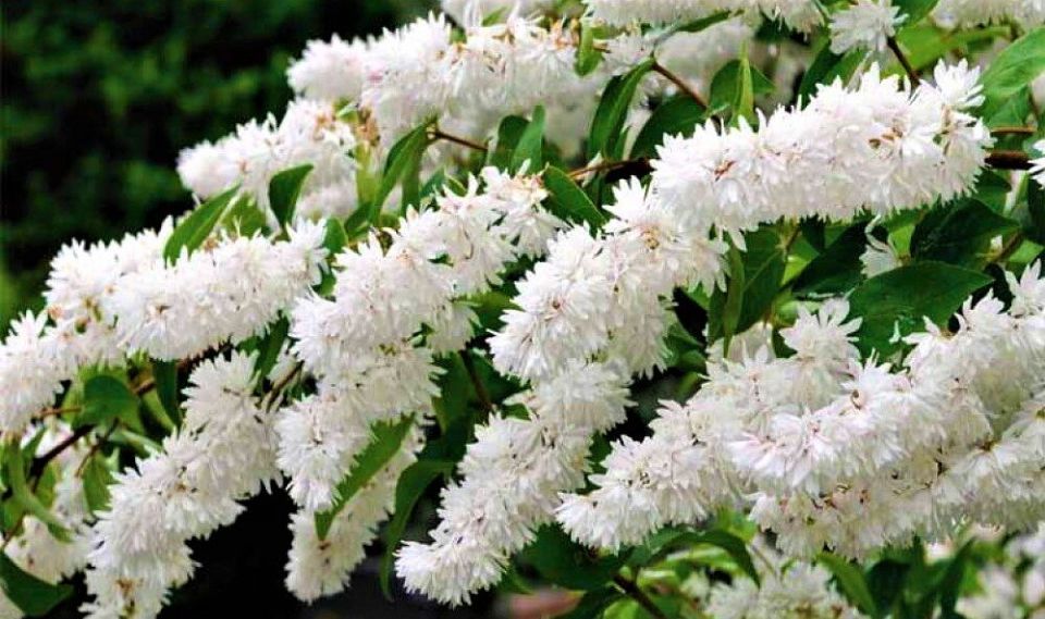 ���������� ������: ��� ��������� �� ���������� ����