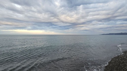 ������ ����, ������� �������!