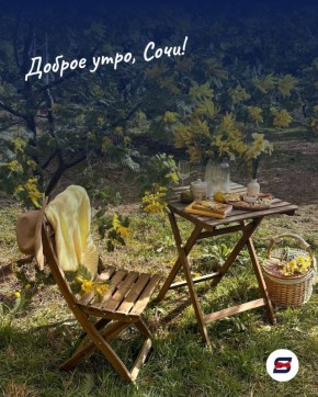 Доброе утро, Сочи!. Пусть этот день принесёт вам тепло, радость и вдохновение во всём, за что вы берётесь