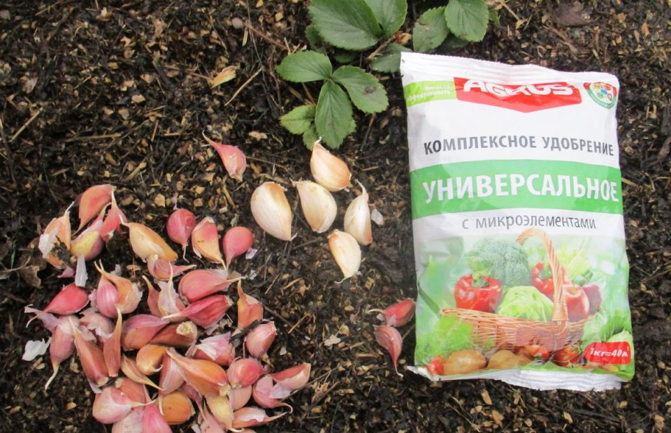 ������� �������� ������� ������� �������: �� ������ �� ������ ��������