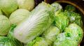 Секреты хранения пекинской капусты на зиму