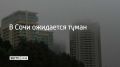 Ночью и утром 6 апреля в Сочи и на федеральной территории Сириус местами ожидается туман