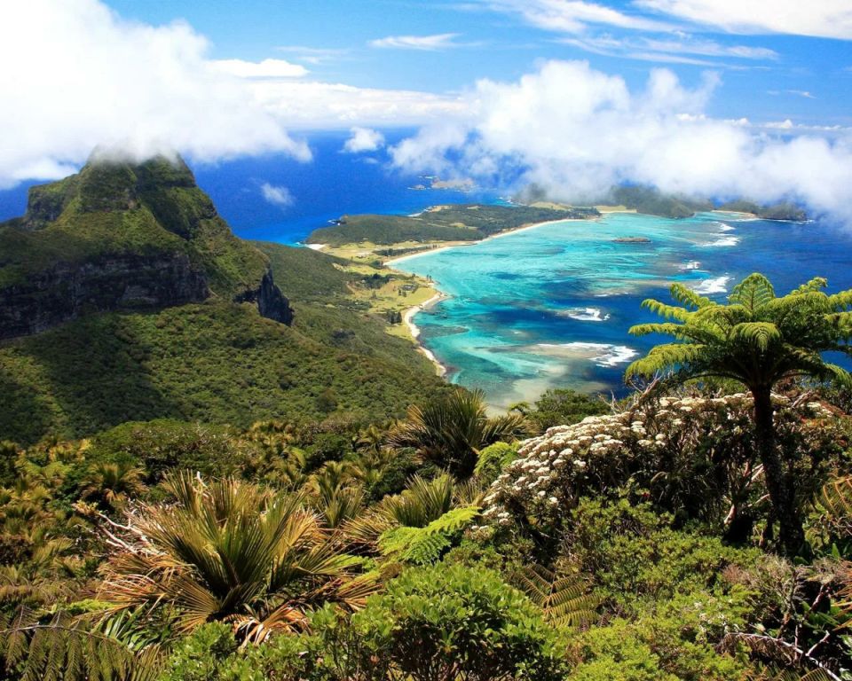 ���������: ���������� ��������, ������������� ������ �� ���� ����������