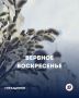 Смысл, символы и традиции Вербного воскресенья