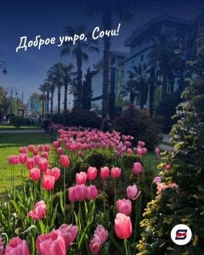 Доброе утро, Сочи!. Пусть сегодня случится что-то неожиданно хорошее — просто так, без повода