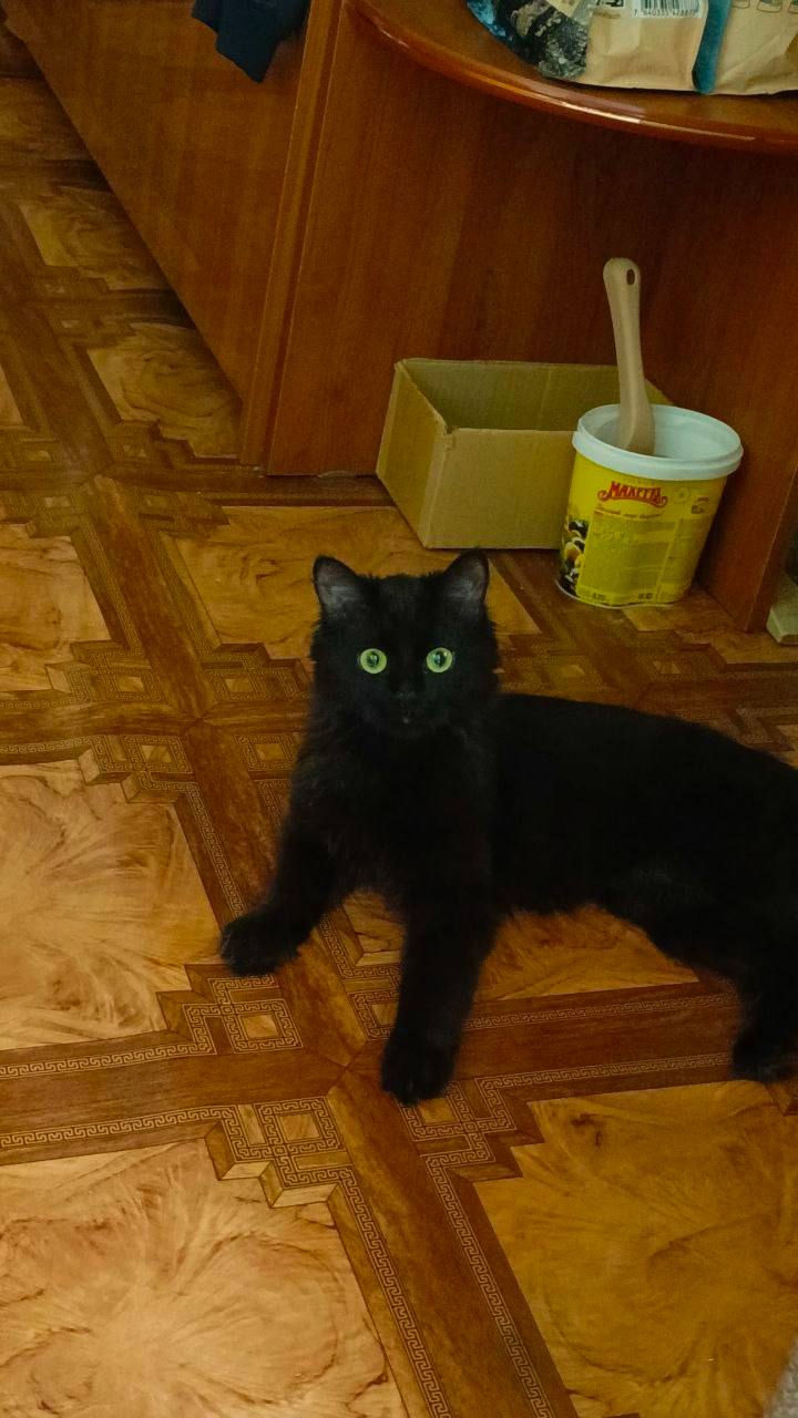 О погоде на 6 апреля. В Краснодарском крае переменная облачность О погоде на 6 апреля. В Краснодарском крае переменная облачность