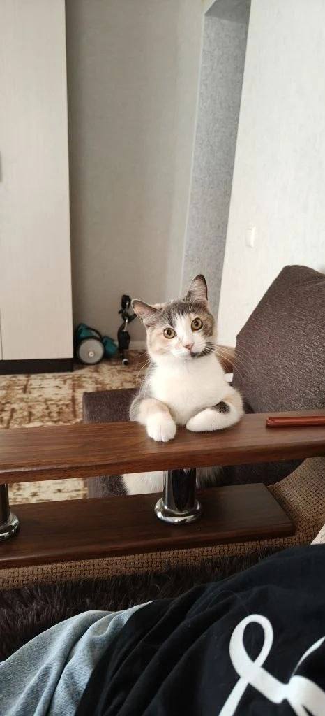 О погоде на 6 апреля. В Краснодарском крае переменная облачность О погоде на 6 апреля. В Краснодарском крае переменная облачность