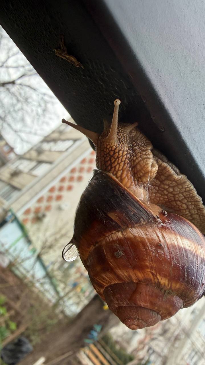 О погоде на 6 апреля. В Краснодарском крае переменная облачность О погоде на 6 апреля. В Краснодарском крае переменная облачность