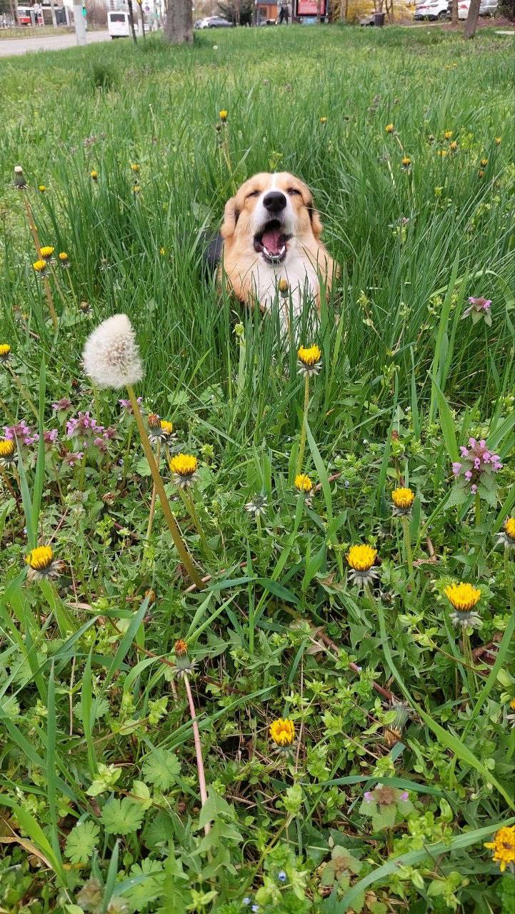 О погоде на 6 апреля. В Краснодарском крае переменная облачность О погоде на 6 апреля. В Краснодарском крае переменная облачность