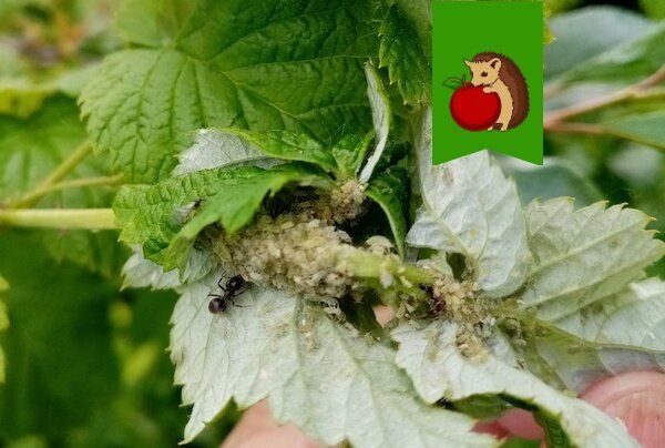 ��� ���������� � ����: ��� ����� �������� �� ��������