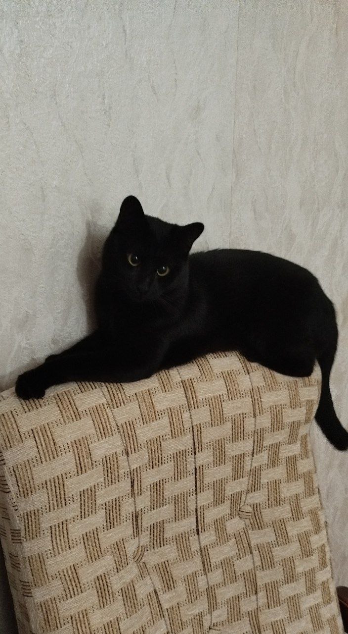 Доброе утро, Кубань!. Краснодар +13 °С Доброе утро, Кубань!. Краснодар +13 °С