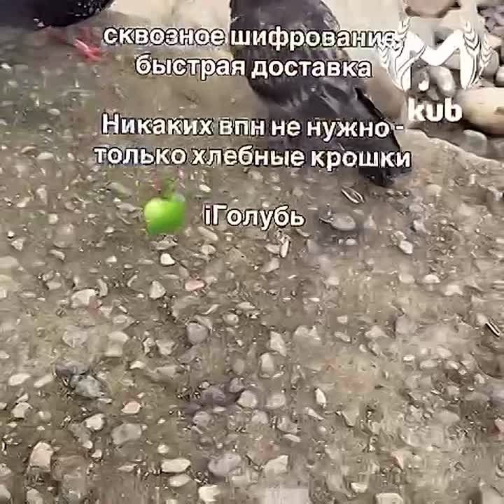 � ���� ���������� ��������� ����� �� ���� ������� � ����������