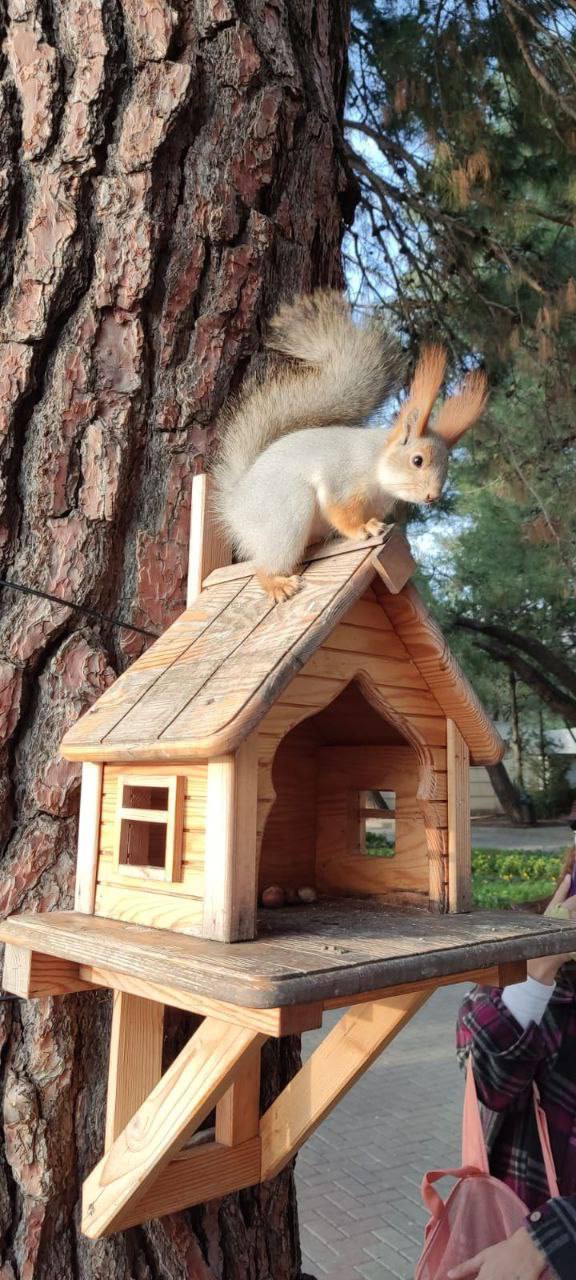 О погоде на 7 апреля . В Краснодарском крае облачно с прояснениями О погоде на 7 апреля . В Краснодарском крае облачно с прояснениями