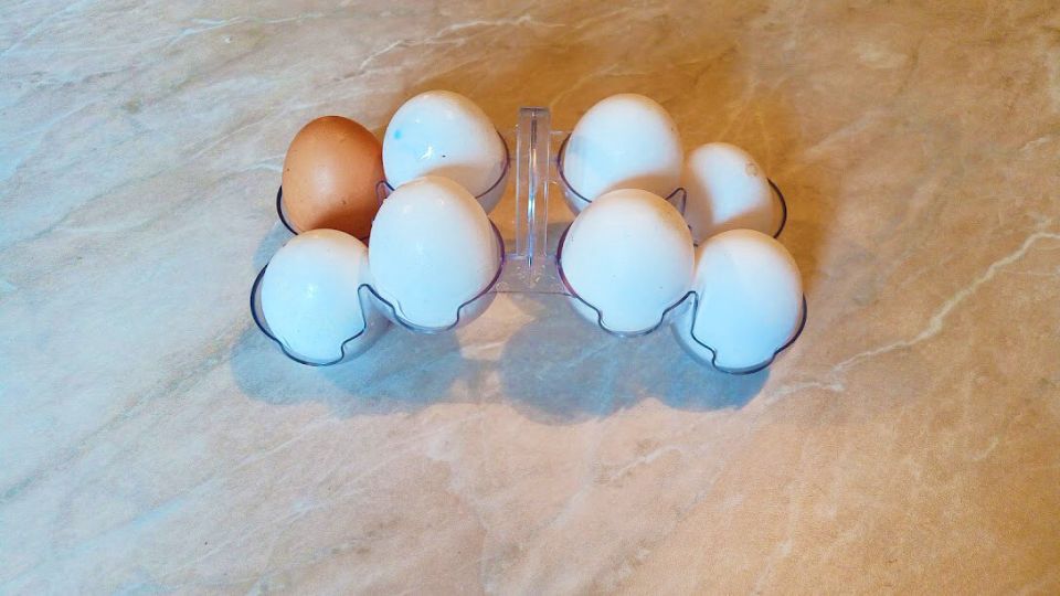 ������ ����� ������������ �������� �������� ���������: ����������� ������