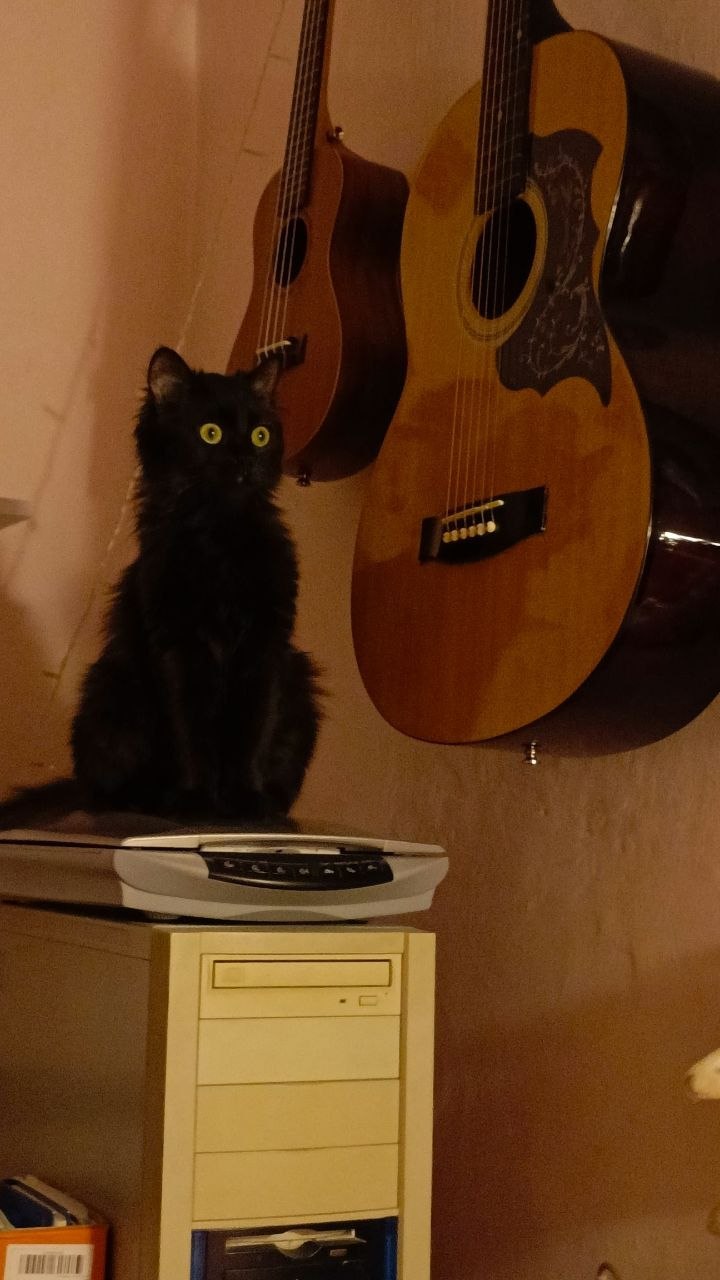 Доброе утро, Кубань!. Краснодар +13 °С Доброе утро, Кубань!. Краснодар +13 °С