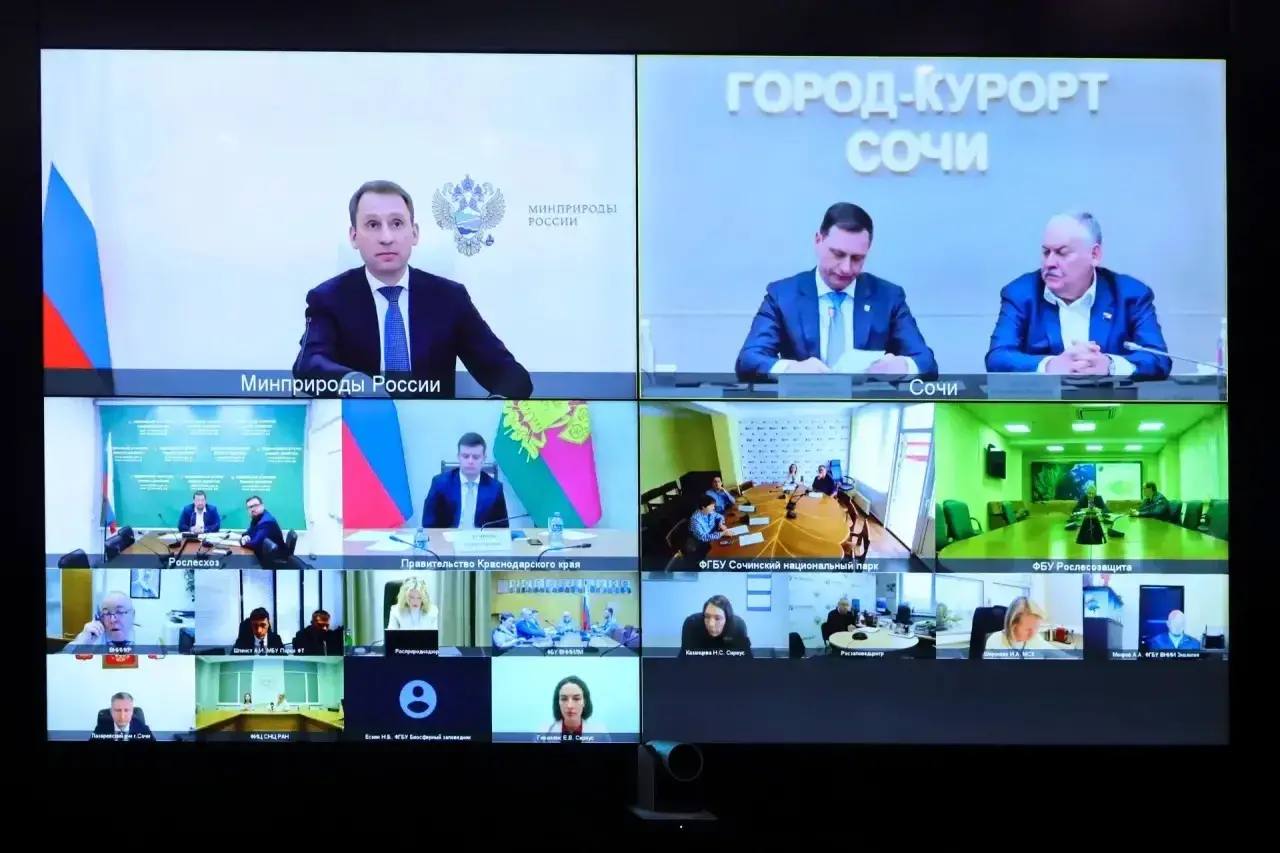 Андрей Прошунин: Принял участие в первом заседании межведомственной комиссии по защите субтропической флоры Сочи под председательством Министра природных ресурсов Александра Александровича Козлова