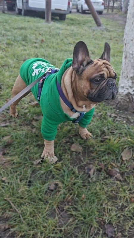 ������ ����, ������!. ��������� +13 ��