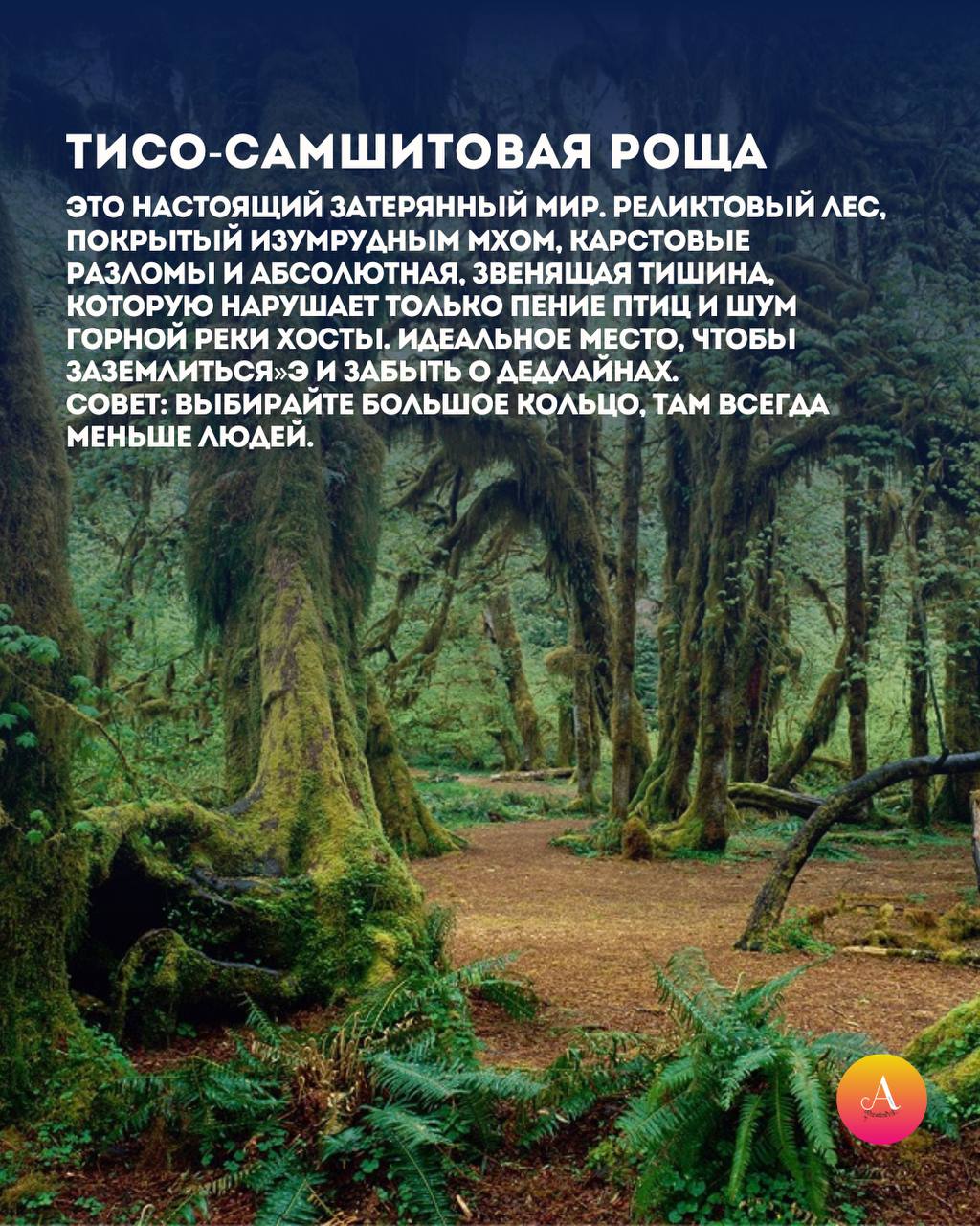 Где в Сочи искать спокойствие? 5 мест для весенней перезагрузки! Где в Сочи искать спокойствие? 5 мест для весенней перезагрузки!